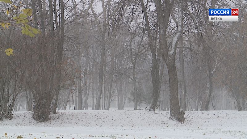 Кировчан предупредили о затяжном предзимье