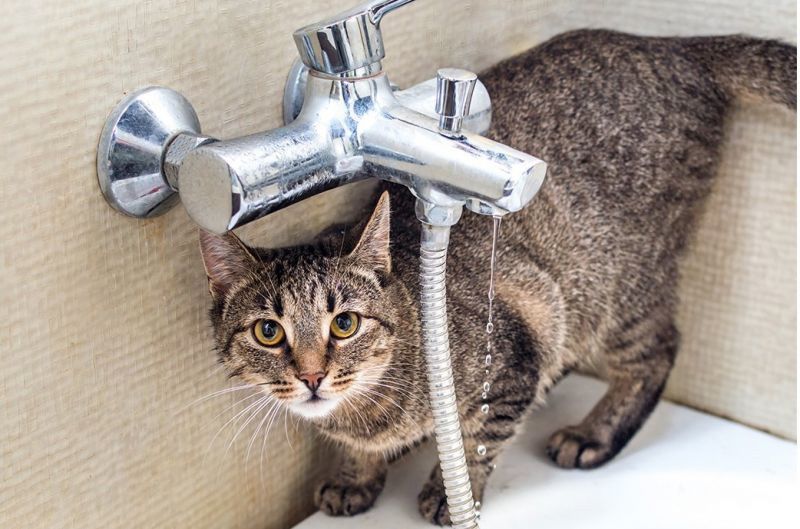 В Ленинской Искре обследуют систему водоснабжения