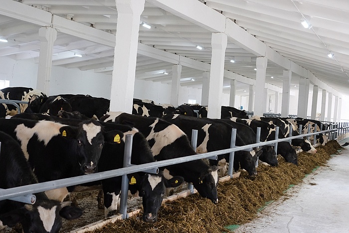 Сельхозпредприятия Кировской области модернизируют производство