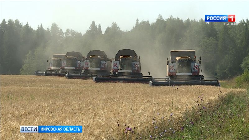 Соколов поручил разработать систему поощрения сельхозпредприятий