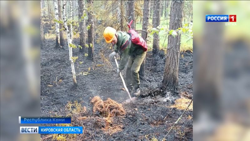 Глава Республики Коми поблагодарил кировских огнеборцев за помощь в борьбе с лесными пожарами