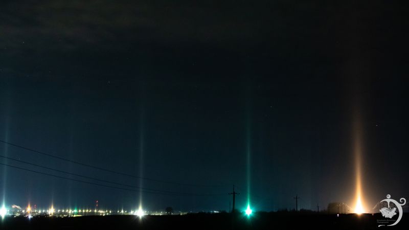 В Котельниче засняли световой лес