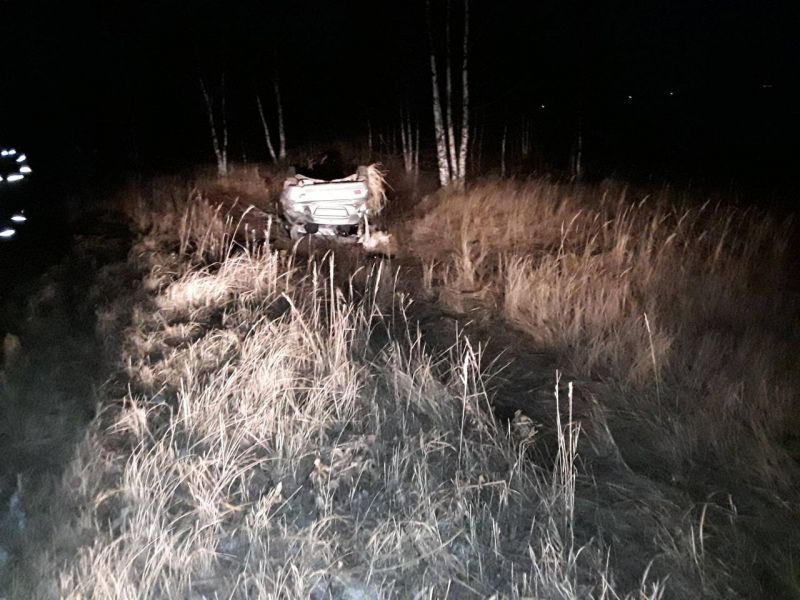 В Кикнурском районе перевернулся мужчина на иномарке