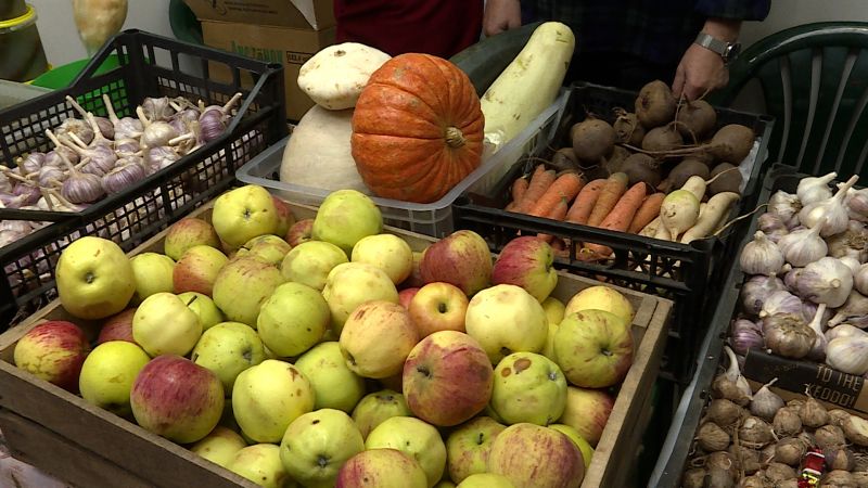 Вести Агро. Ярмарка фермеров (17.11.2022)