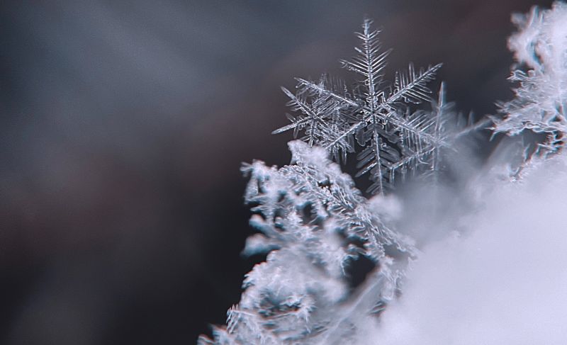 В Кирове выберут «Вятскую снежинку»
