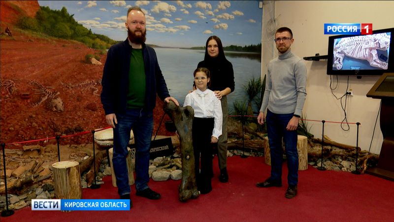Коллекцию Вятского палеонтологического музея пополнила крупная кость мамонта