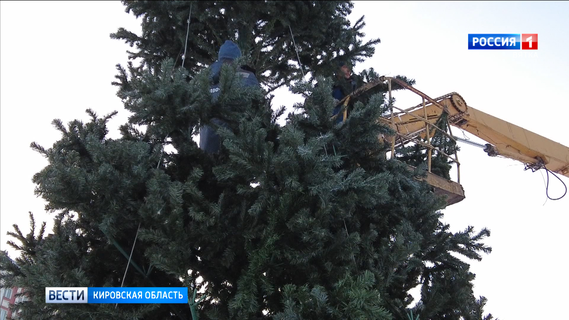 В Кирове начали устанавливать новогодние елки
