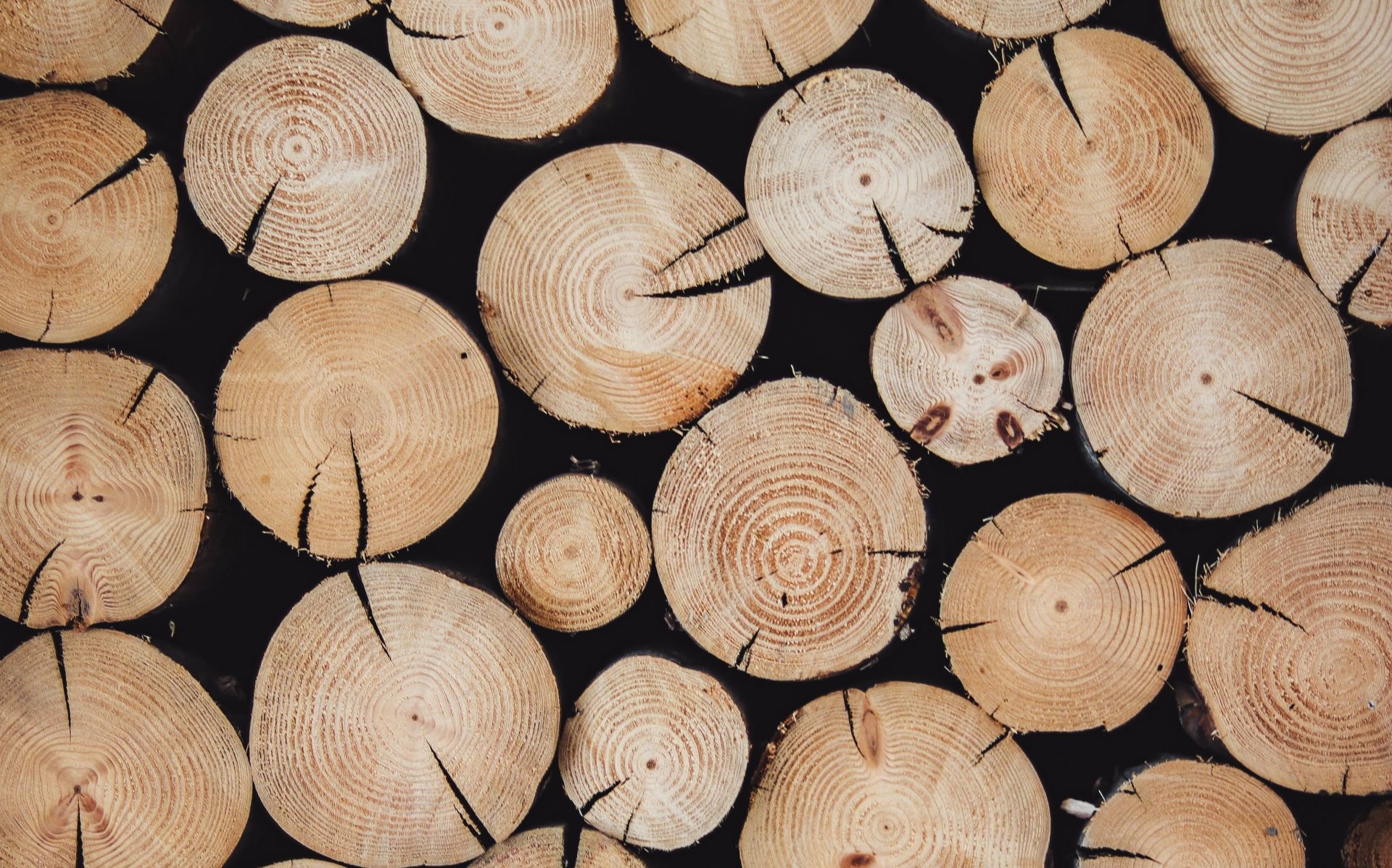 Кировчане могут оформить заявку на заготовку древесины в МФЦ