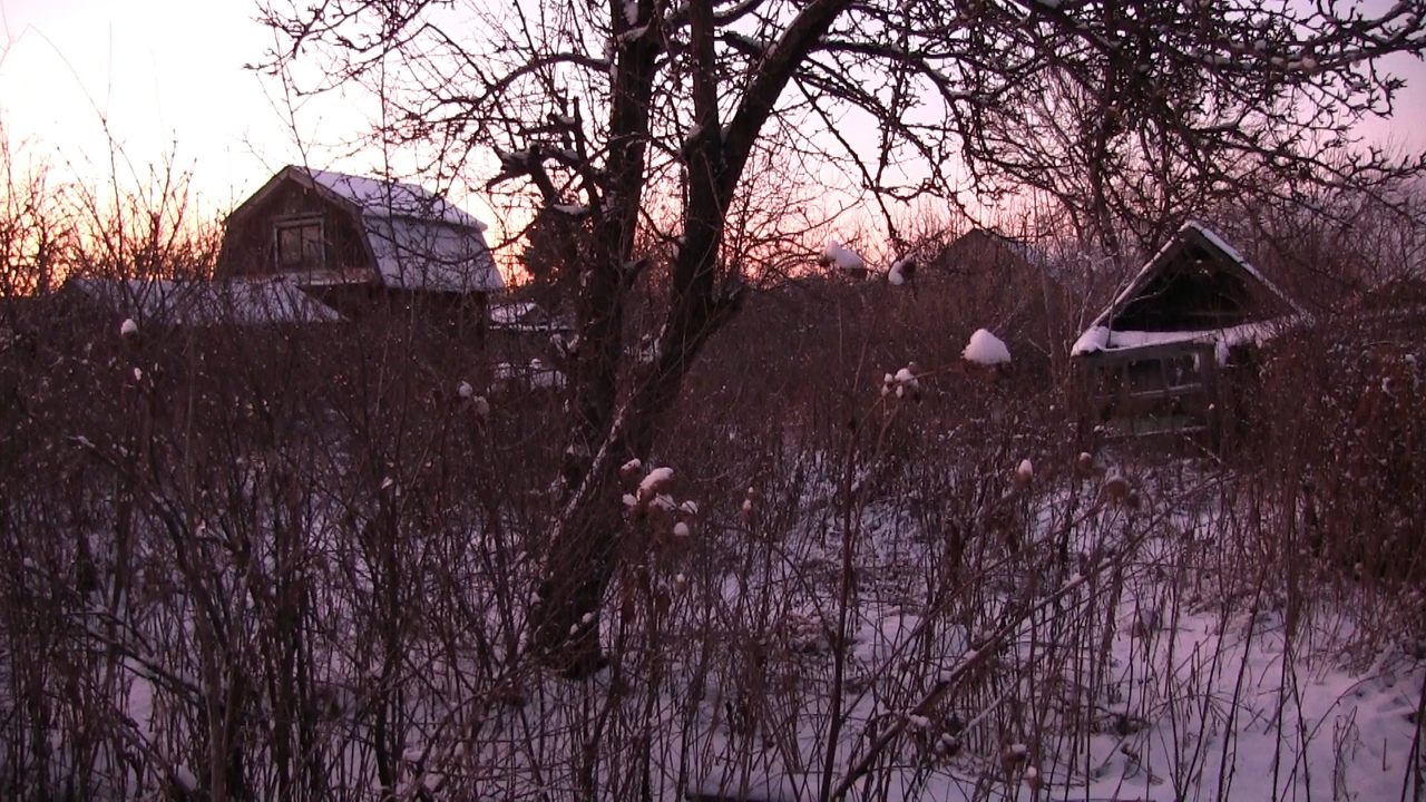 В Кирове задержали дачного вора