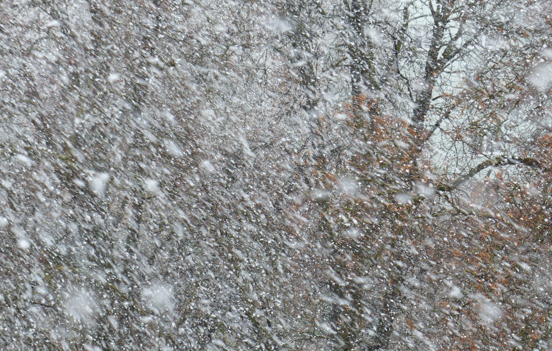 В субботу в Кировской области прогнозируют до  4 градусов