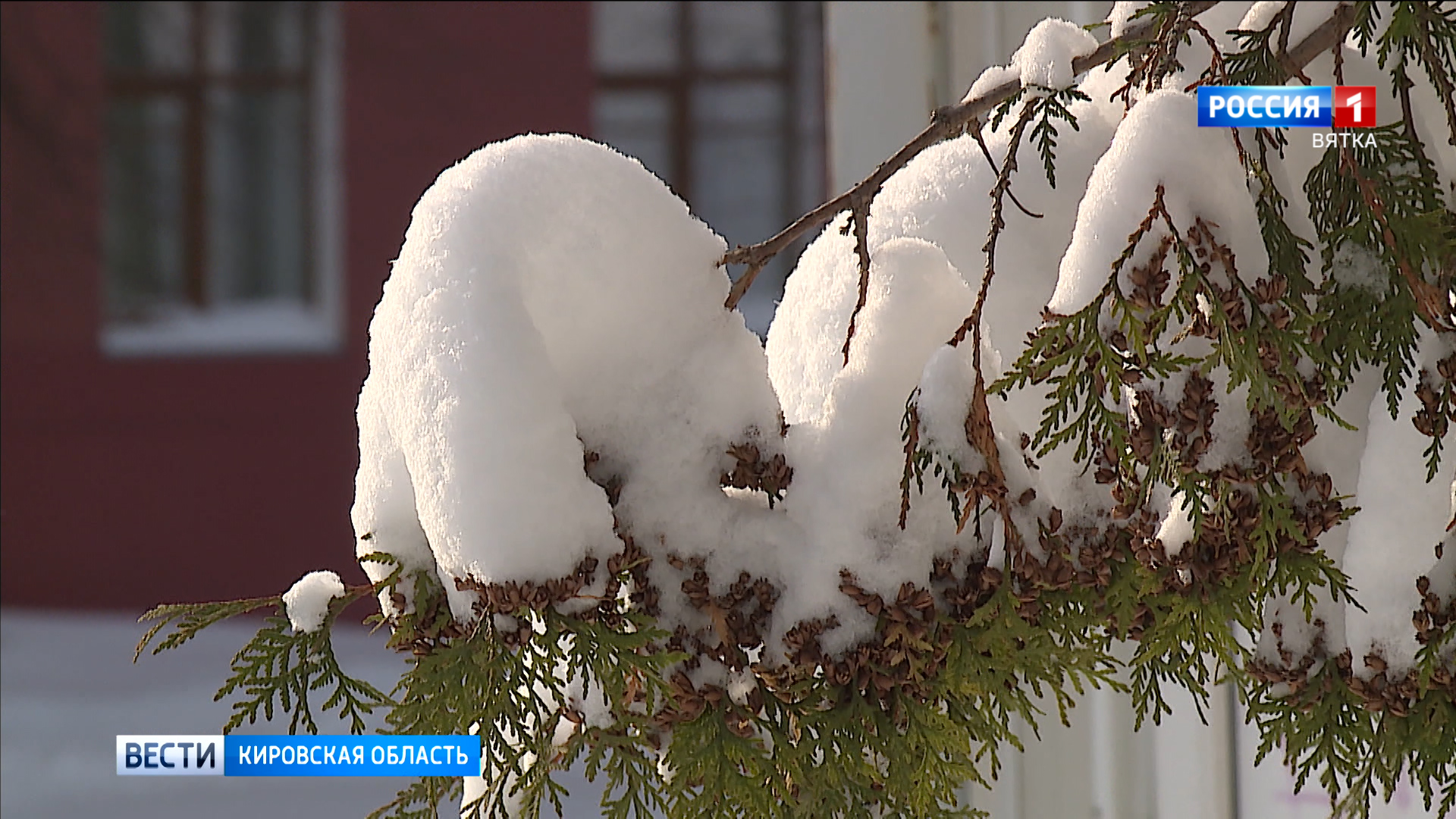 Погода на Новый год для кировчан ожидается по-настоящему новогодней