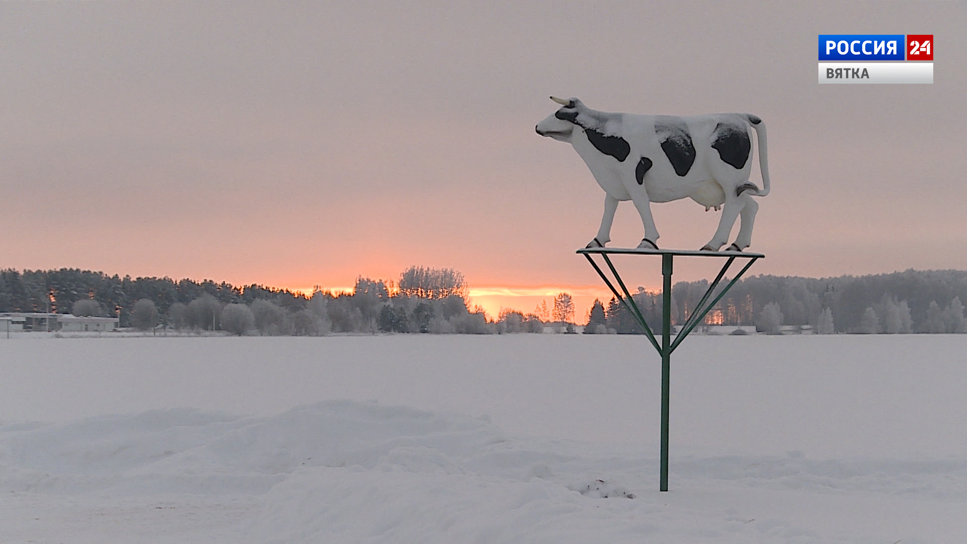 Губерния. Племзавод «Пижанский» (30.12.2022)