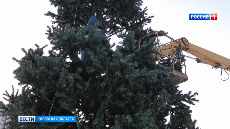 В Кирове начали устанавливать новогодние елки