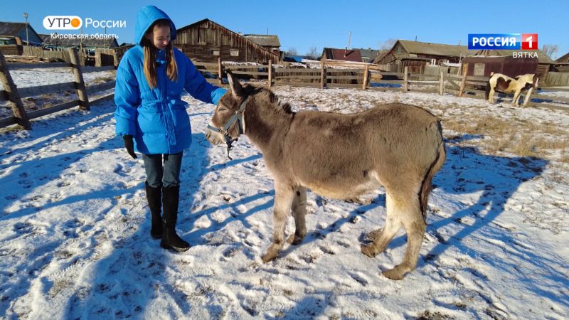 Хвост за хвост. Ослица Глаша (08.12.2022)