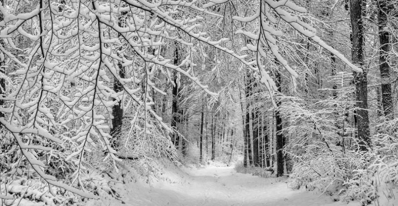 В пятницу кировчанам пообещали потепление и снегопад