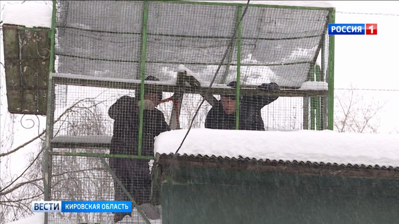 В Кирове на Дерендяева начался демонтаж голубятни