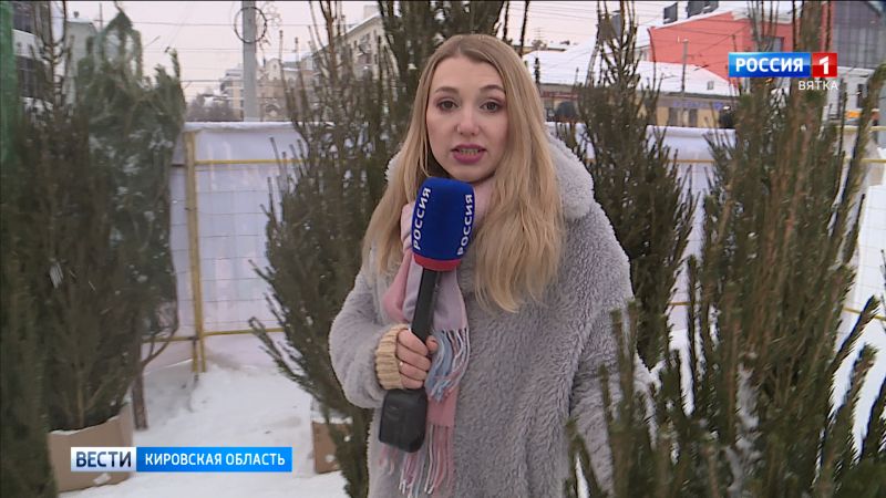 Кировчанам дали советы, как сохранить новогоднюю елку дольше