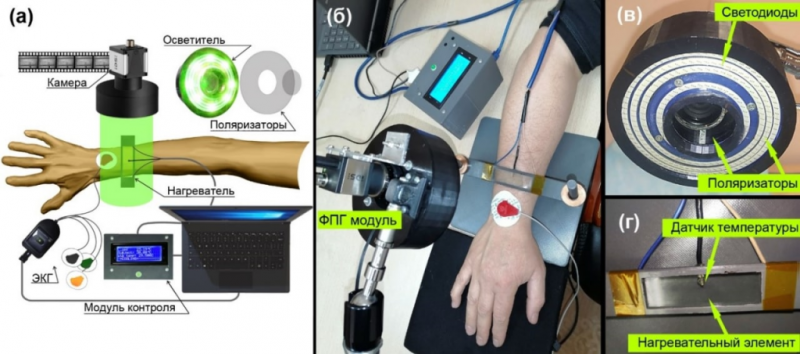 Ученые России предложили новый способ диагностики сердечно-сосудистых заболеваний