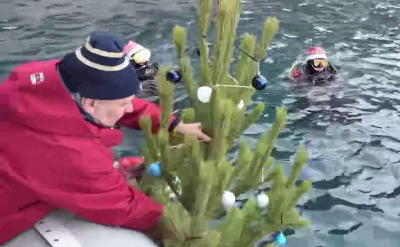 Крымские дайверы установили новогоднюю елку в Черном море под водой