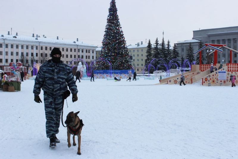 Кировским полицейским следить за безопасностью помогает бельгийская овчарка