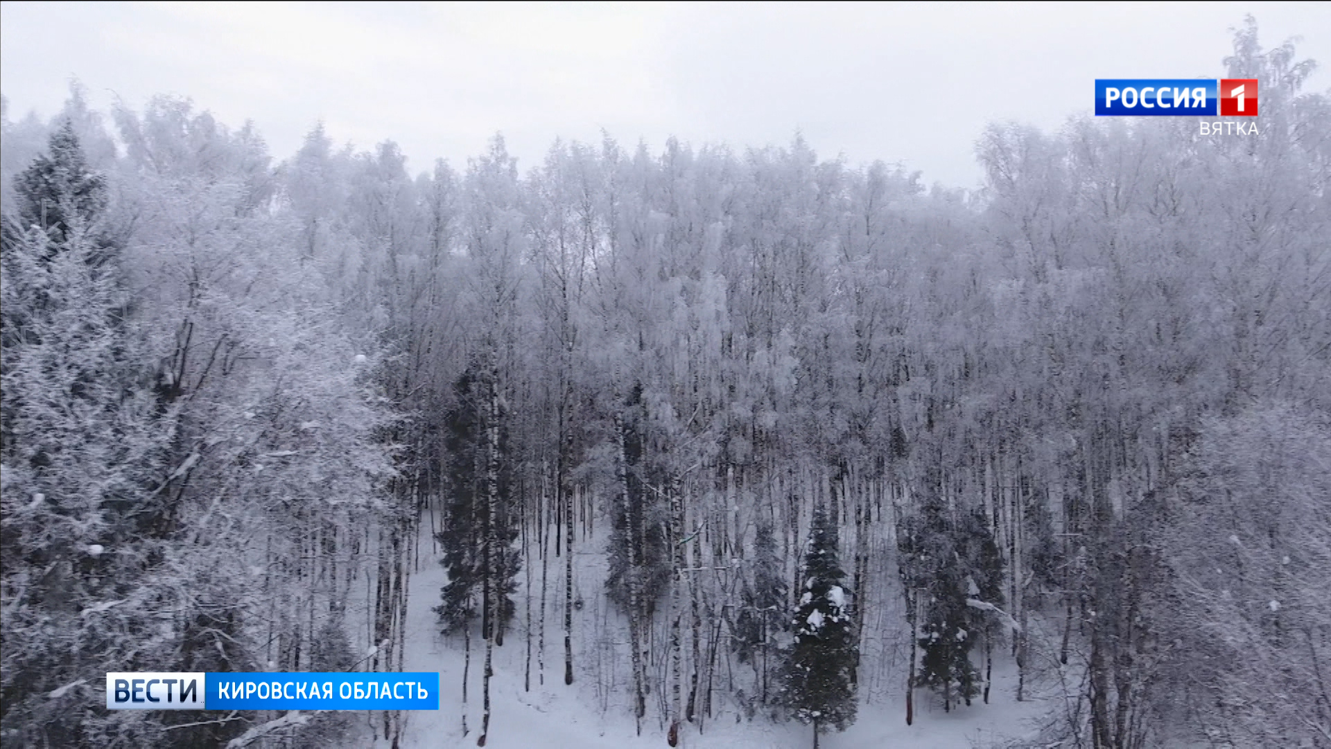В Кировскую область поступят 25 новых автомобилей для патрулирования лесов