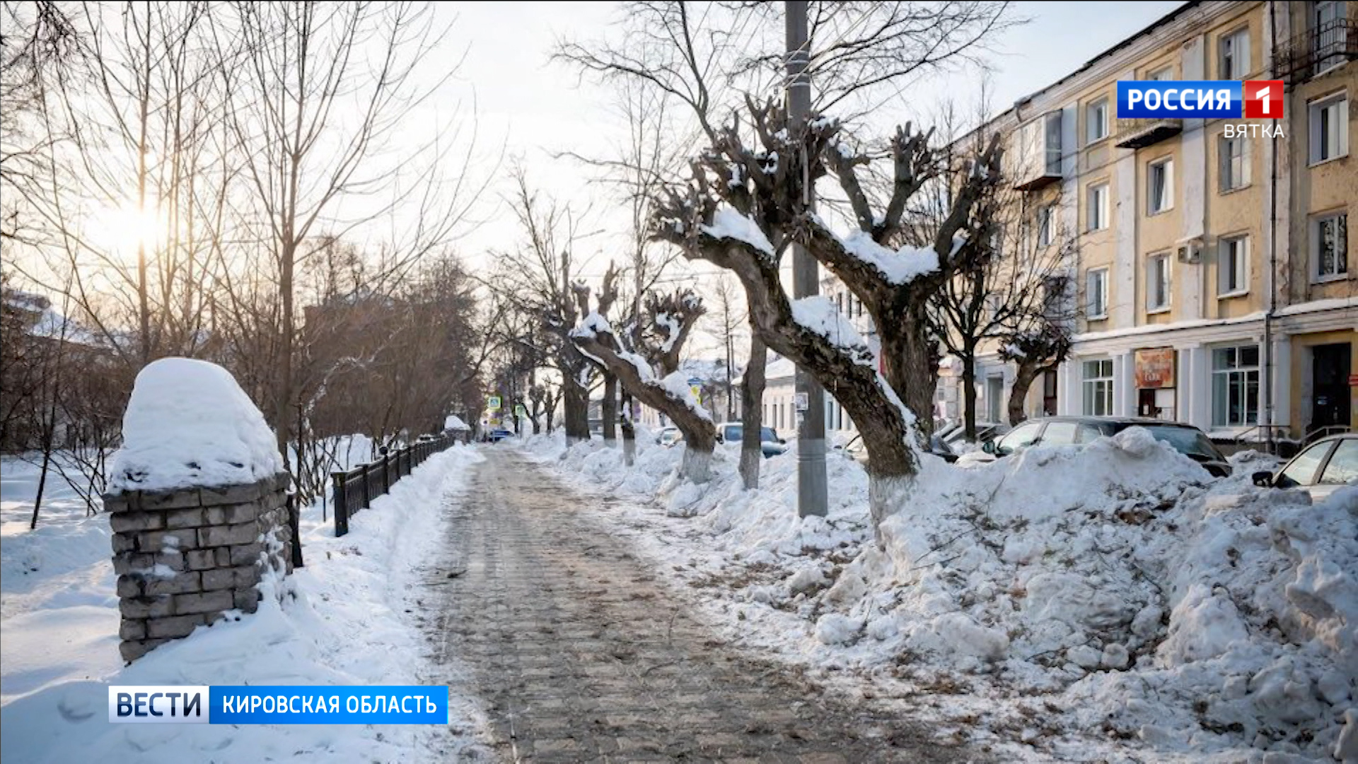 В Кирове на улицах, входящих в турмаршруты, заменят деревья