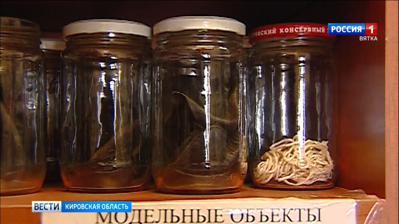 Кировские криминалисты изобличили убийцу по запаху