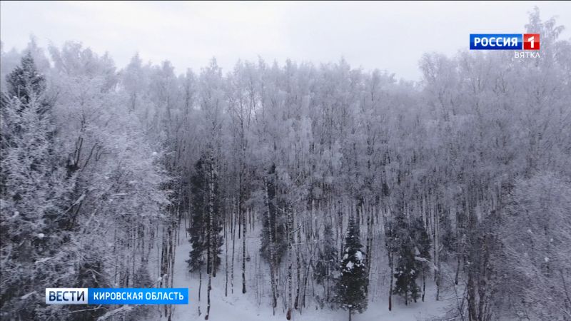 В Кировскую область поступят 25 новых автомобилей для патрулирования лесов