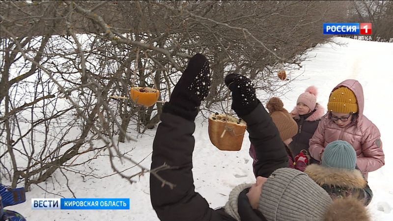 Юннаты Дворца творчества - Мемориал сделали эко-кормушки для птиц