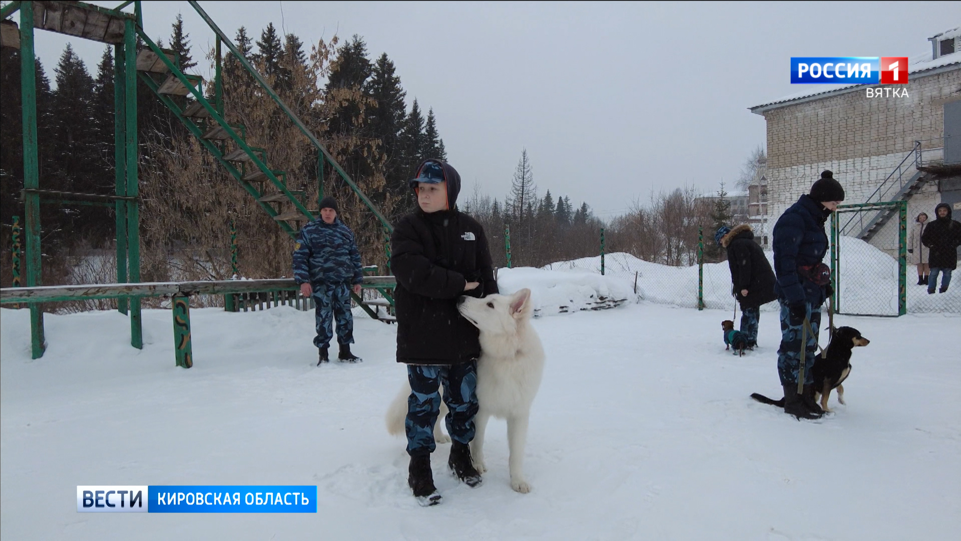 В Омутнинске работает клуб юных кинологов