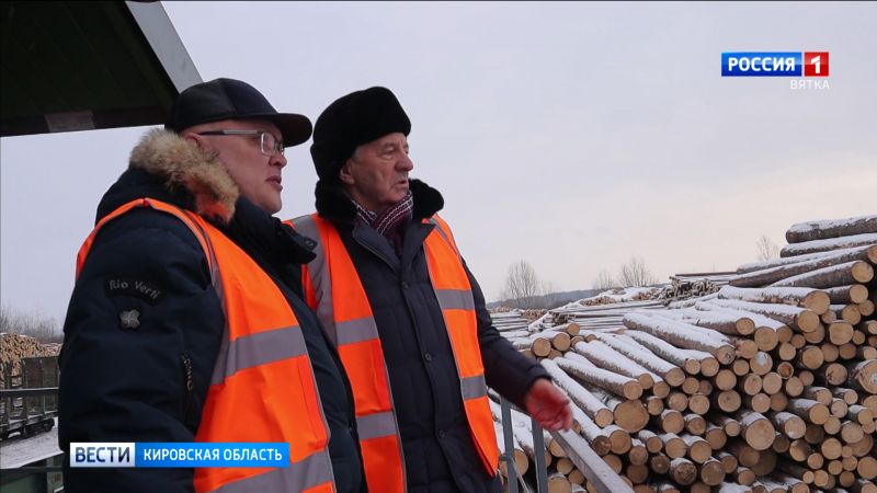 Кировские предприятия будут объединяться для освоения лесов