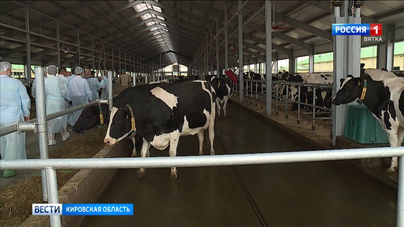 Кировская область вошла в лидеры по трём позициям в ПФО