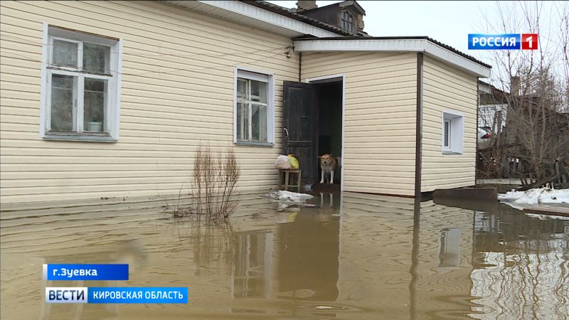 Зуевка превратилась в Венецию
