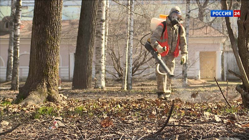 В двух кировских парках провели акарицидную обработку