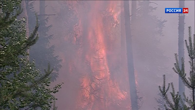 За сутки в Кировской области зарегистрировали семь новых лесных пожаров