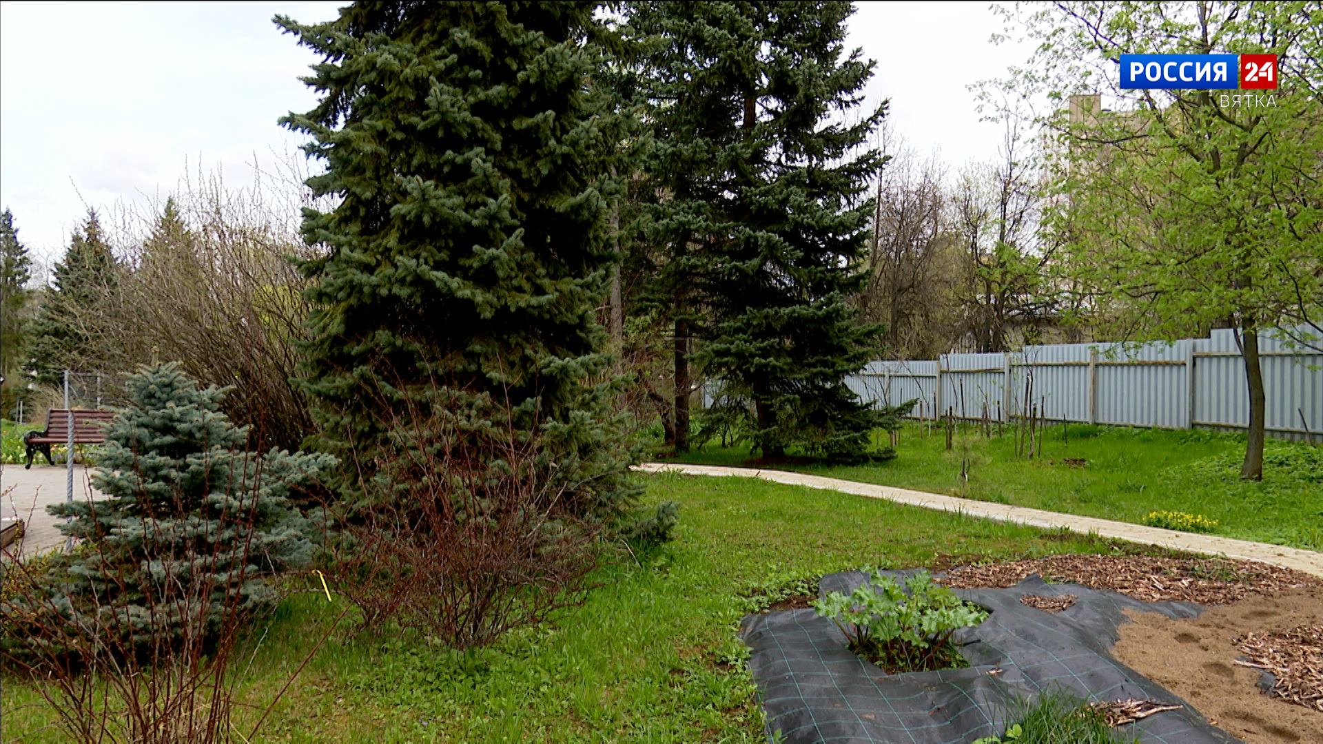 Ботанический сад в Кирове откроют для посетителей 10 мая