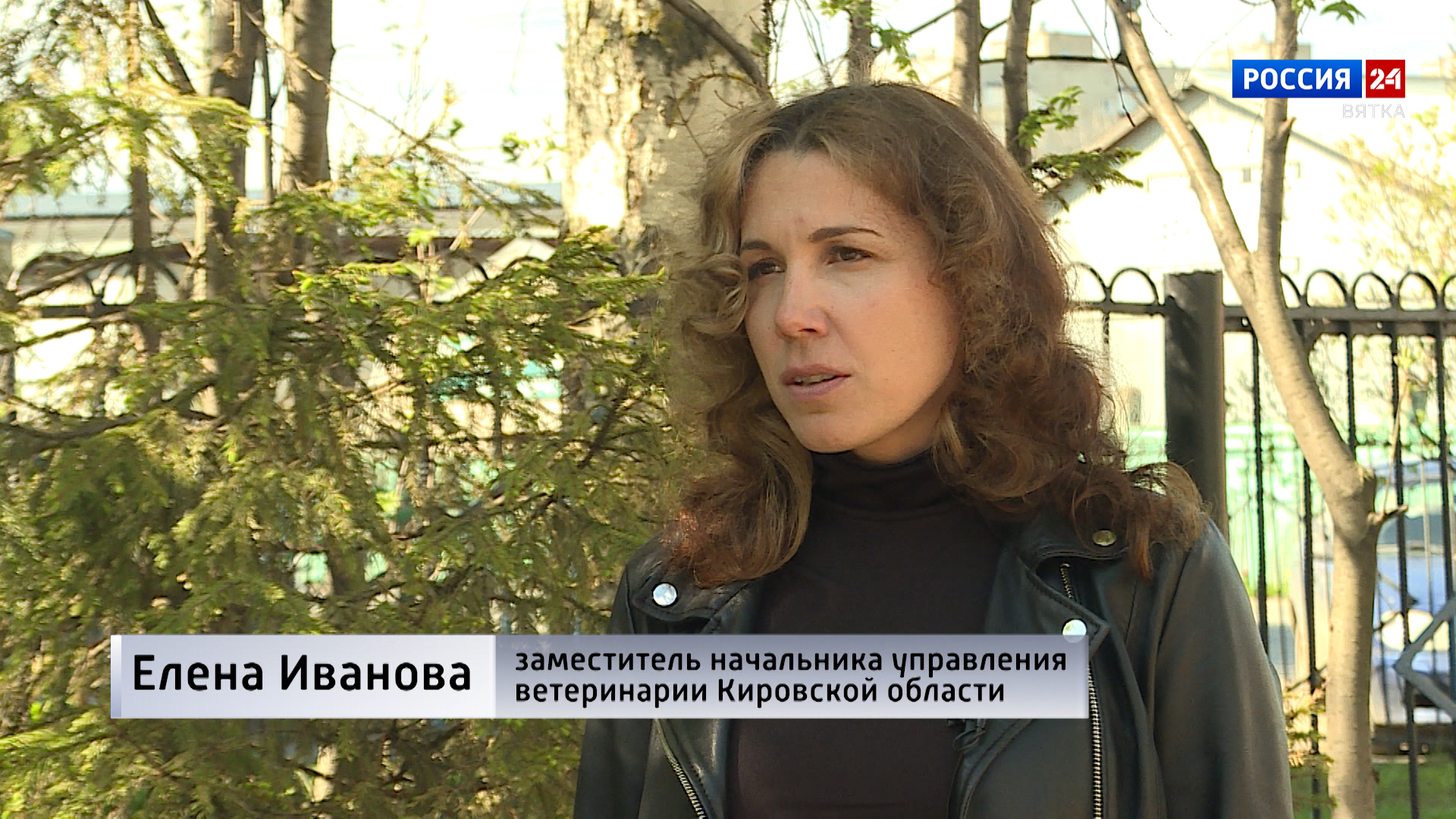 Птичий грипп: опасность для человека и как предотвратить?