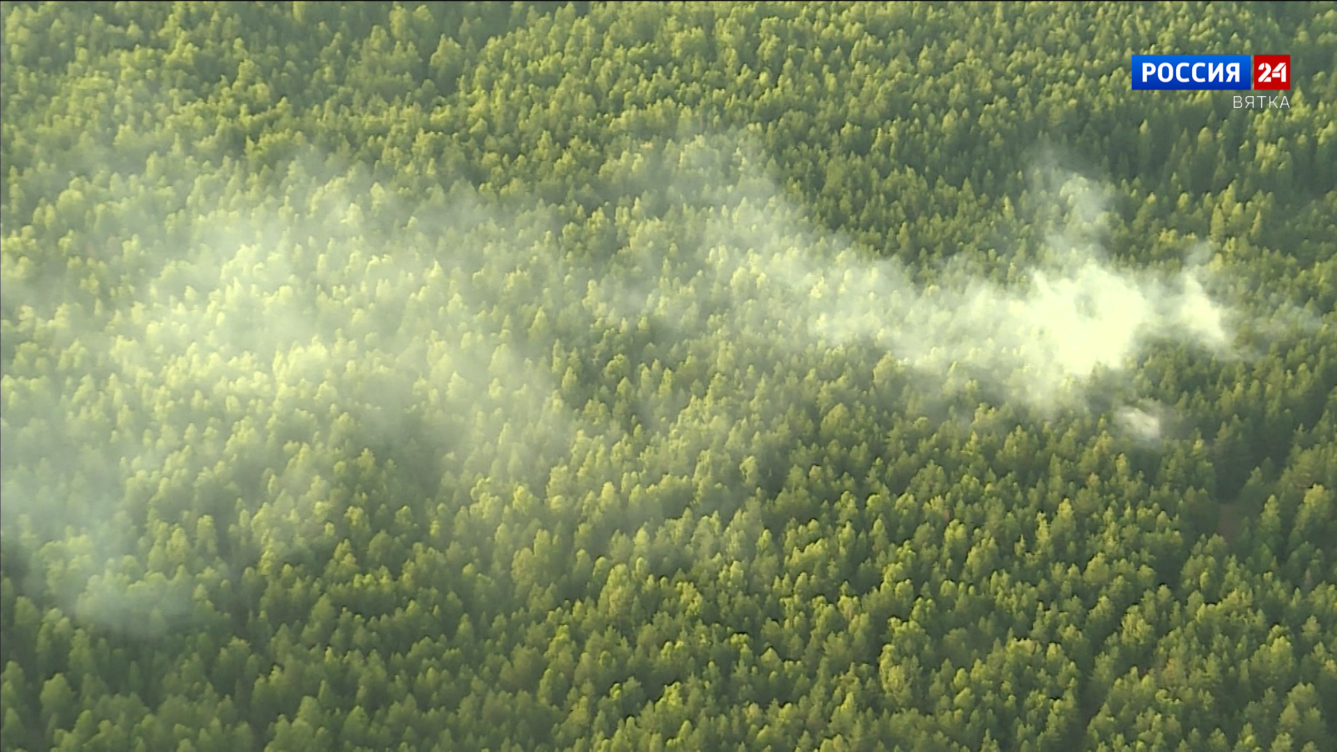 За сутки в Кировской области было зарегистрировано два лесных пожара