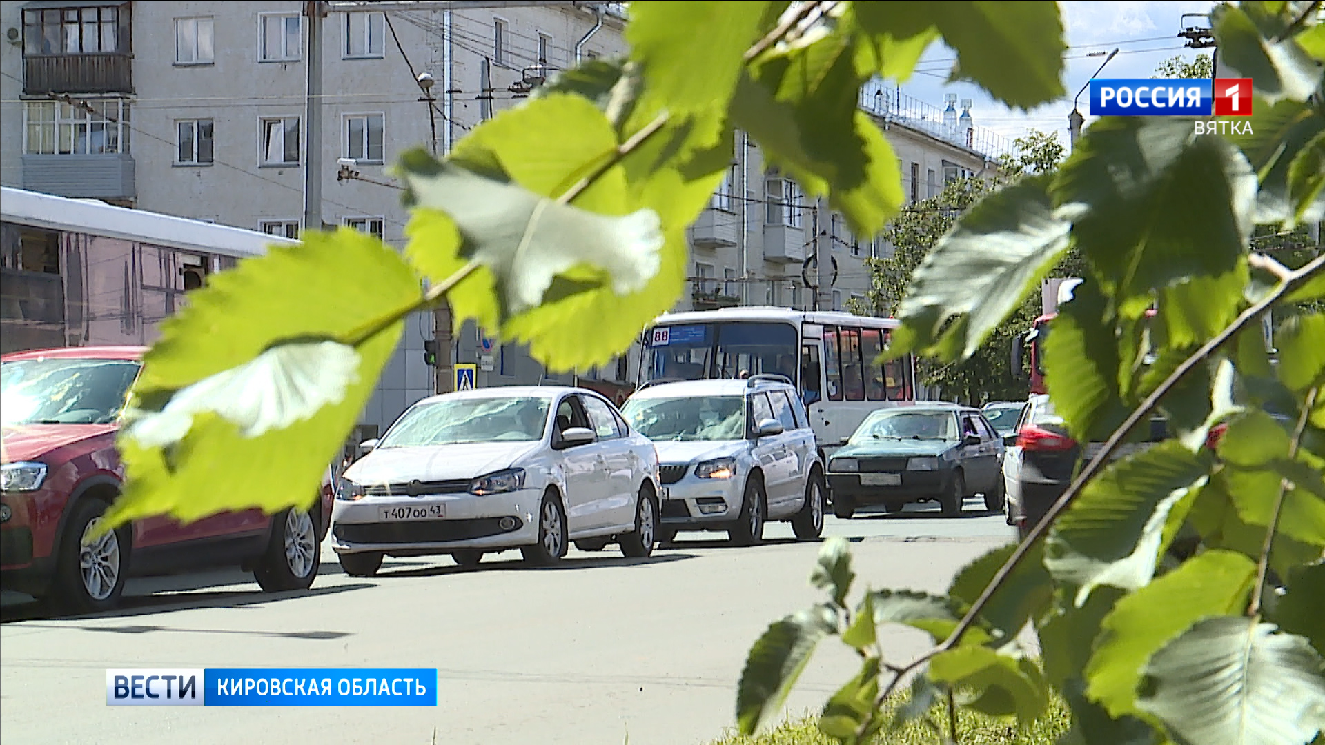 В Кировской области объявили метеопредупреждение из-за аномальной жары
