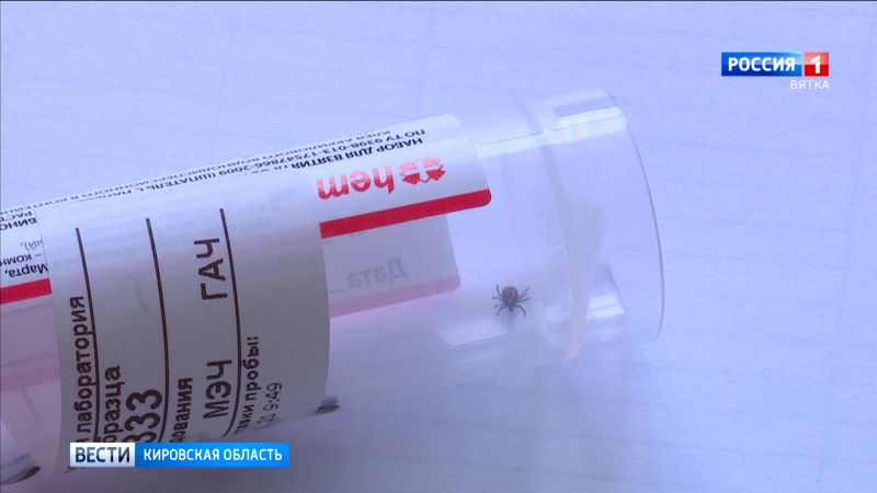 В Кировской области более трех тысяч человек пострадали от укусов клещей