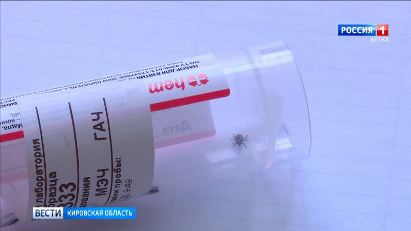 В России обнаружили клещей, способных переносить чуму