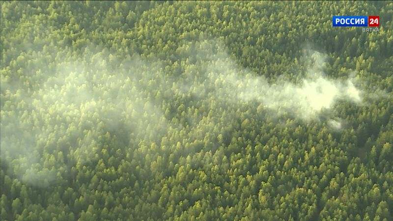 За сутки в Кировской области было зарегистрировано два лесных пожара