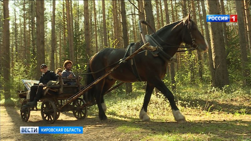 В Кирове завершились съемки документального фильма «Поиски Русских сокровищ»