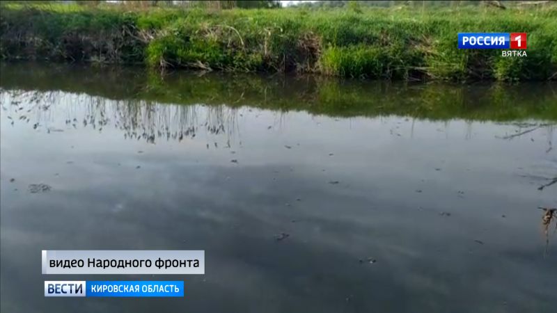 В реке Лаж в Лебяжском районе погибла рыба