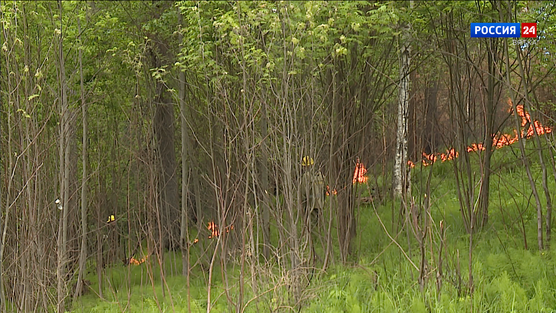 В Кировской области объявлено метеопредупреждение о пожарной опасности