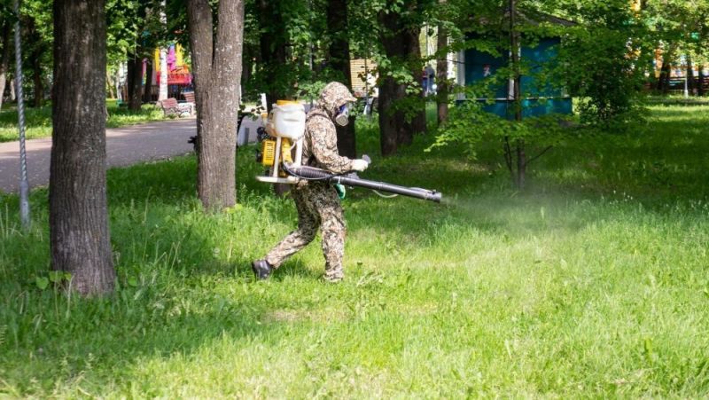 В Кирове начался второй этап обработки от клещей