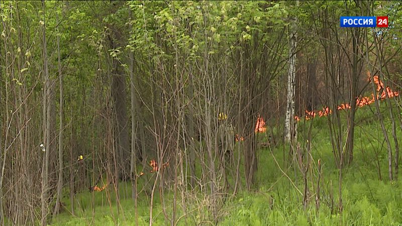 В Кировской области объявлено метеопредупреждение о пожарной опасности