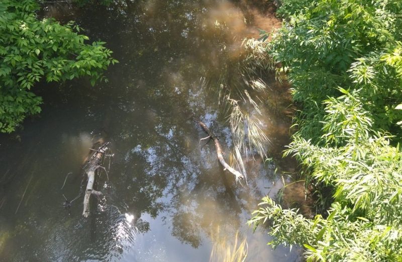 В Кирове заключен контракт на расчистку реки Хлыновки