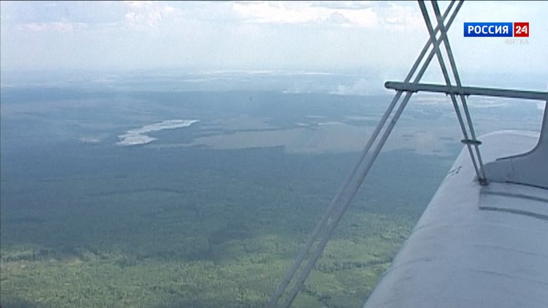 За сутки в Кировской области зарегистрирован 1 лесной пожар