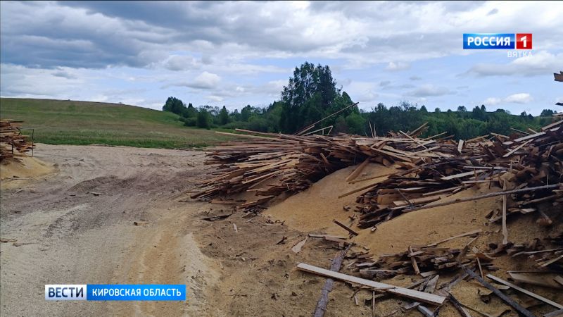 В Лузском районе по факту нарушения правил охраны окружающей среды возбуждено уголовное дело